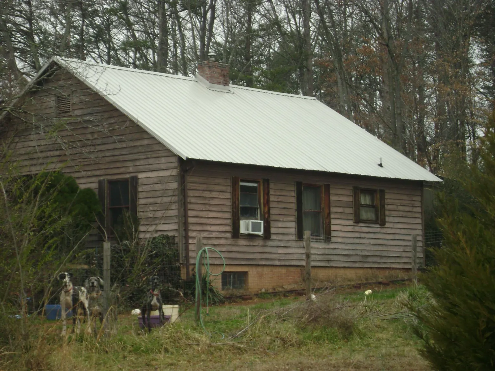 White metal roof on an old wood sided farmhouse, from a Asphalt Shingle Roof Repair job in Cogan Station